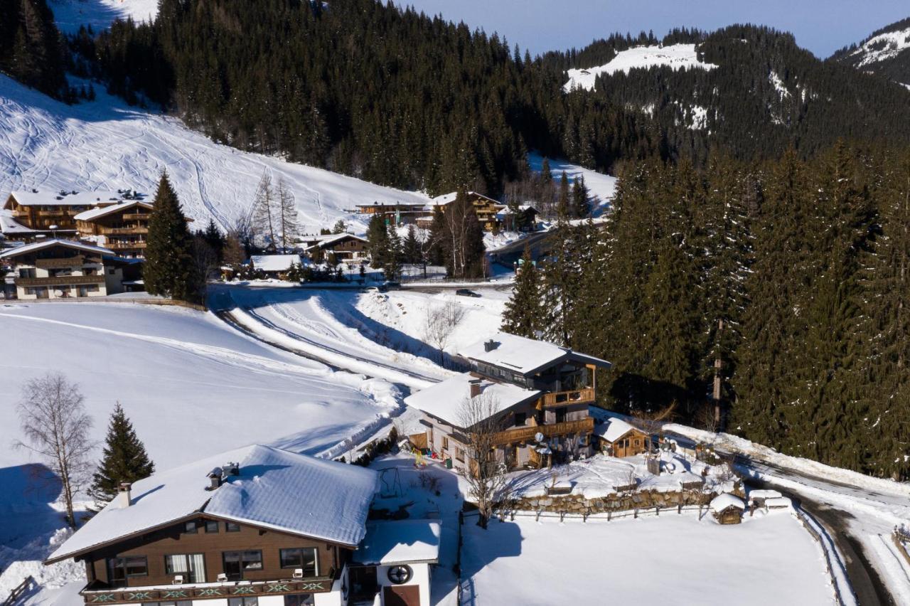 Ski In - Ski Out Panoramaferienhaus Breitmoos Neben Mittelstation Mittersill Exterior photo